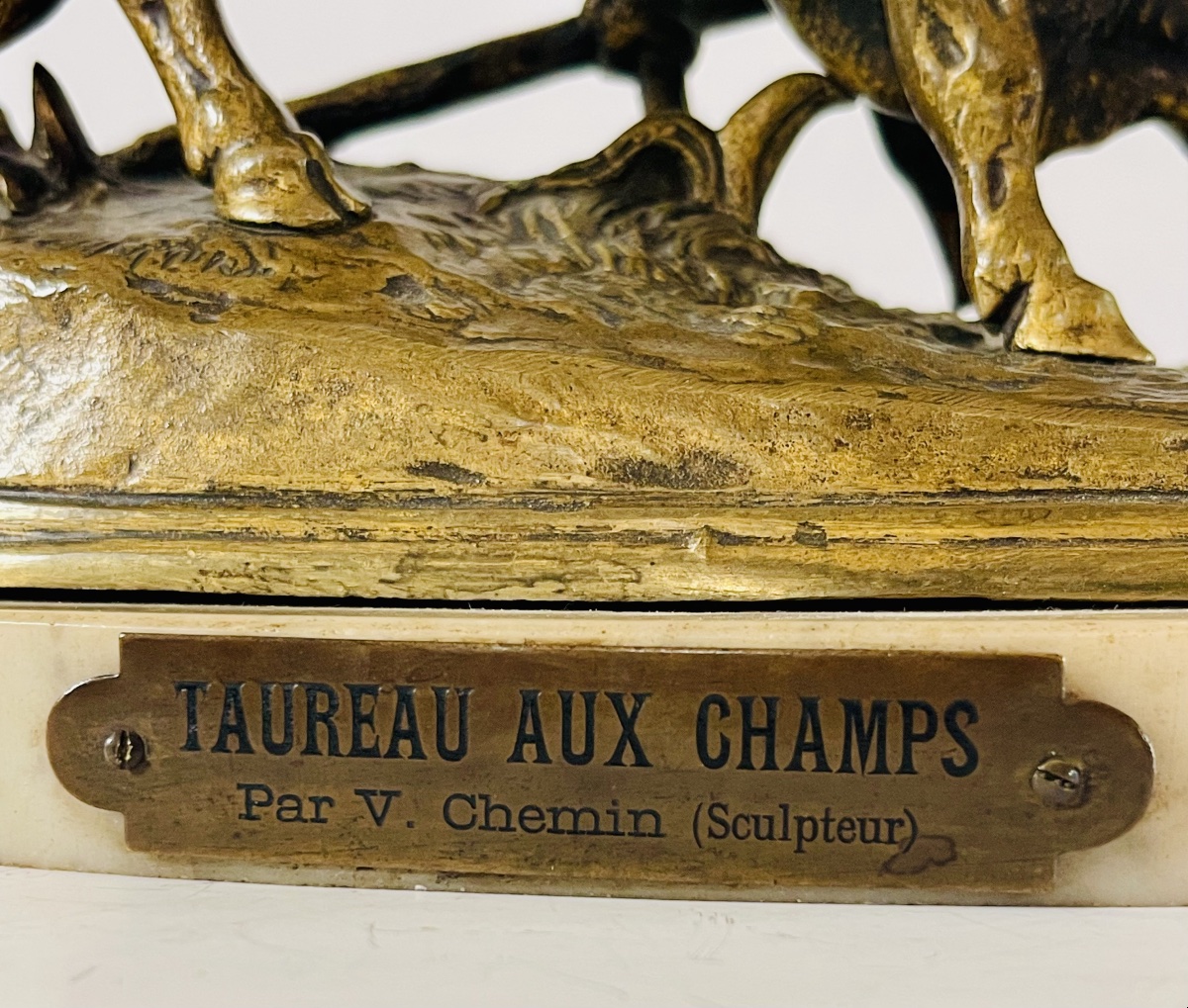 Taureau au champ - Victor CHEMIN-photo-5